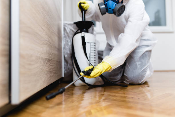 Pest Prevention Services in Kingston Estates, NJ