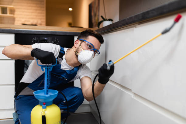 Best Wasp Removal Services  in Kingston Estates, NJ