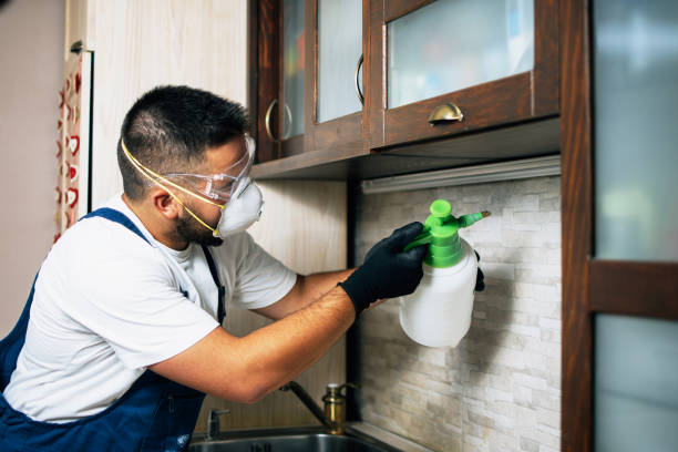 Best Pest Control for Homes  in Kingston Estates, NJ