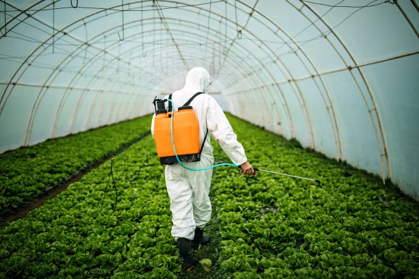 Best Pest Control Near Me in Kingston Estates, NJ