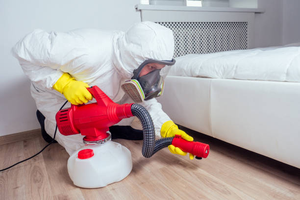 Best Termite Control Services  in Kingston Estates, NJ