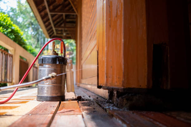 Pest Control Cost in Kingston Estates, NJ
