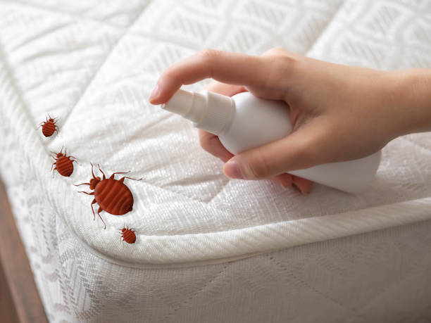Best Pest Inspection Near Me  in Kingston Estates, NJ