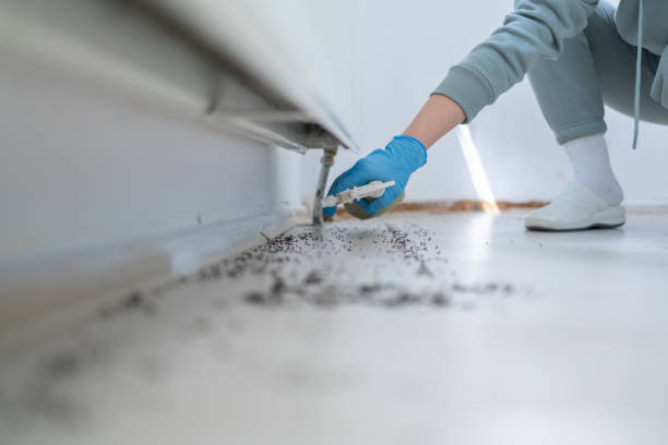 Best Rodent Control Near Me  in Kingston Estates, NJ