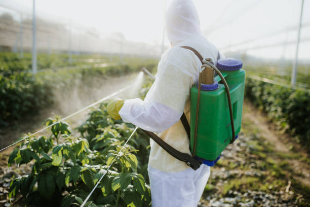 Best Wasp Removal Services  in Kingston Estates, NJ